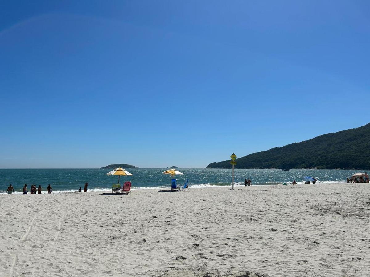 Golfinhos Florianópolis