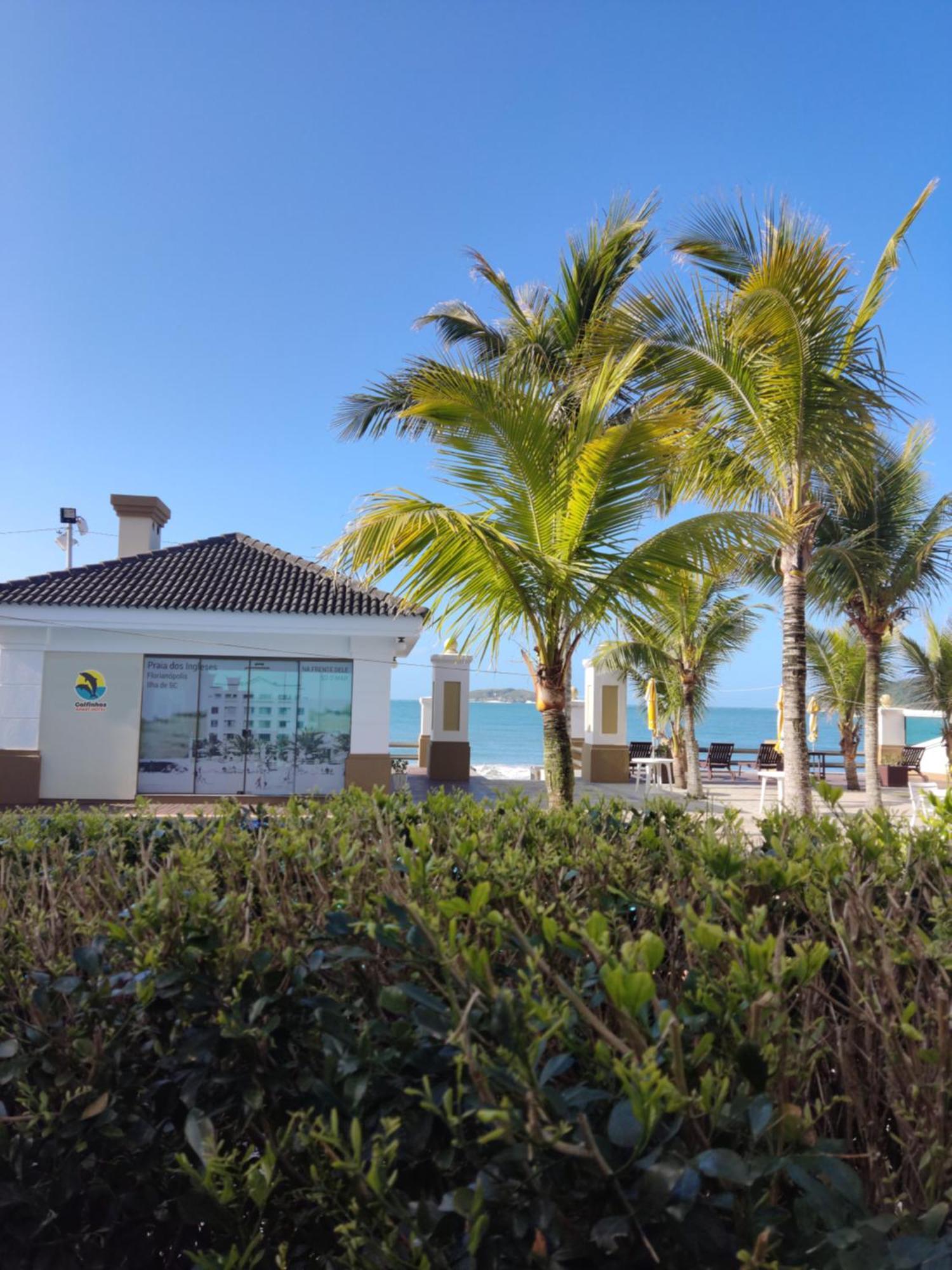 Golfinhos