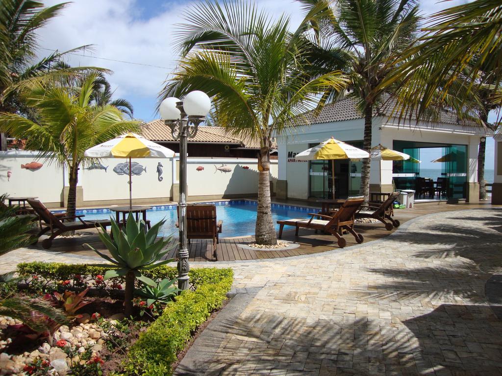 Golfinhos 4*